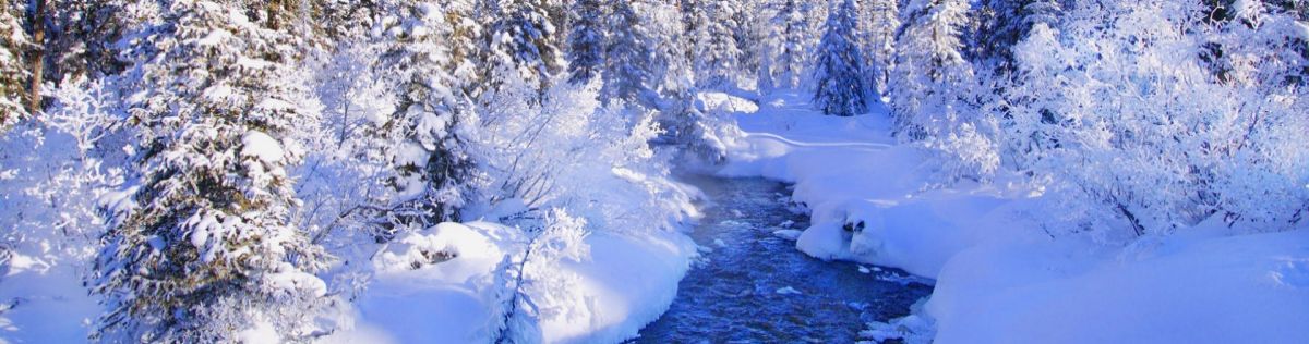 frontpage winter16 04